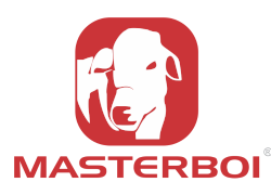 Masterboi